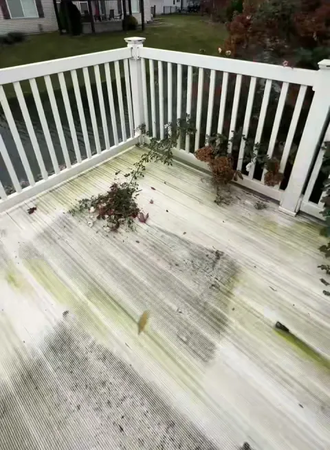 A vinyl deck covered in green algae before our wash